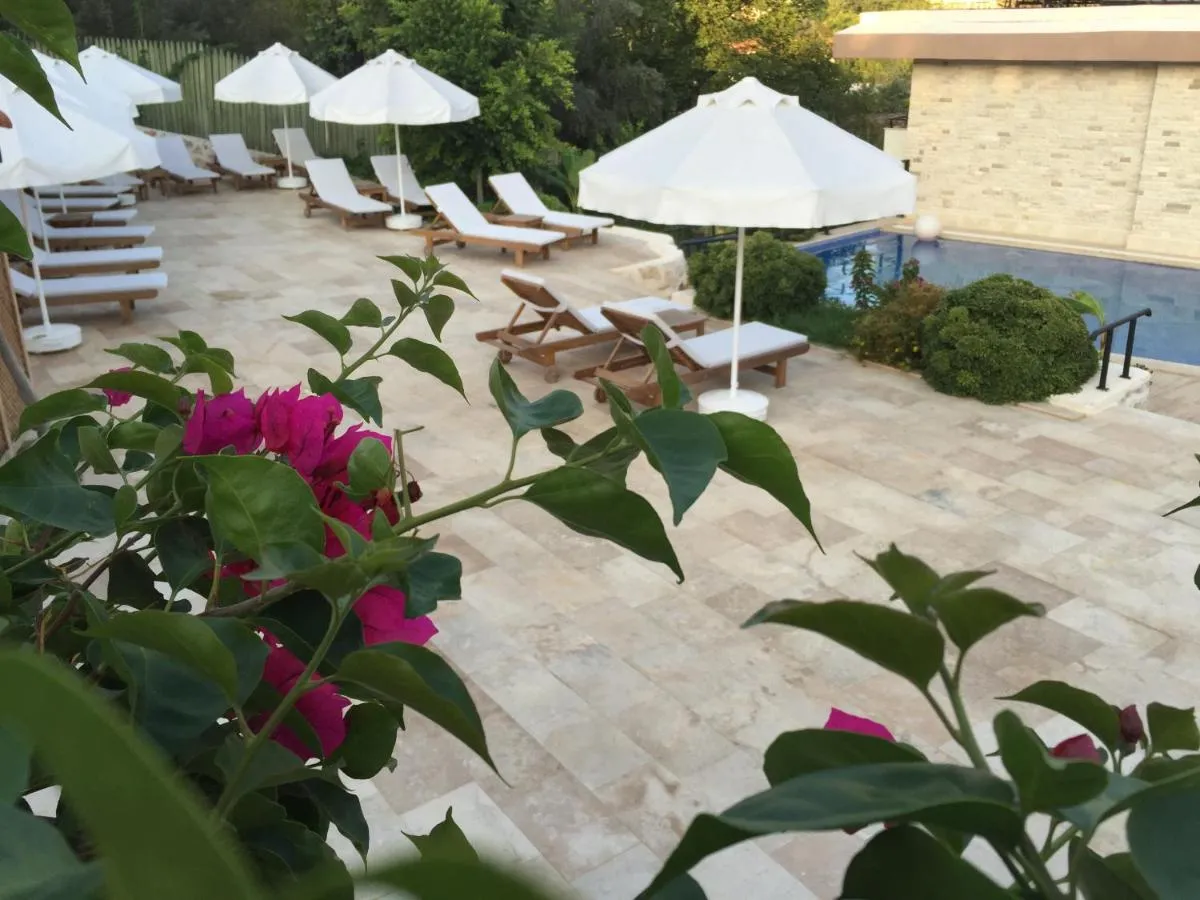 Dardanos Hotel — صورة 4