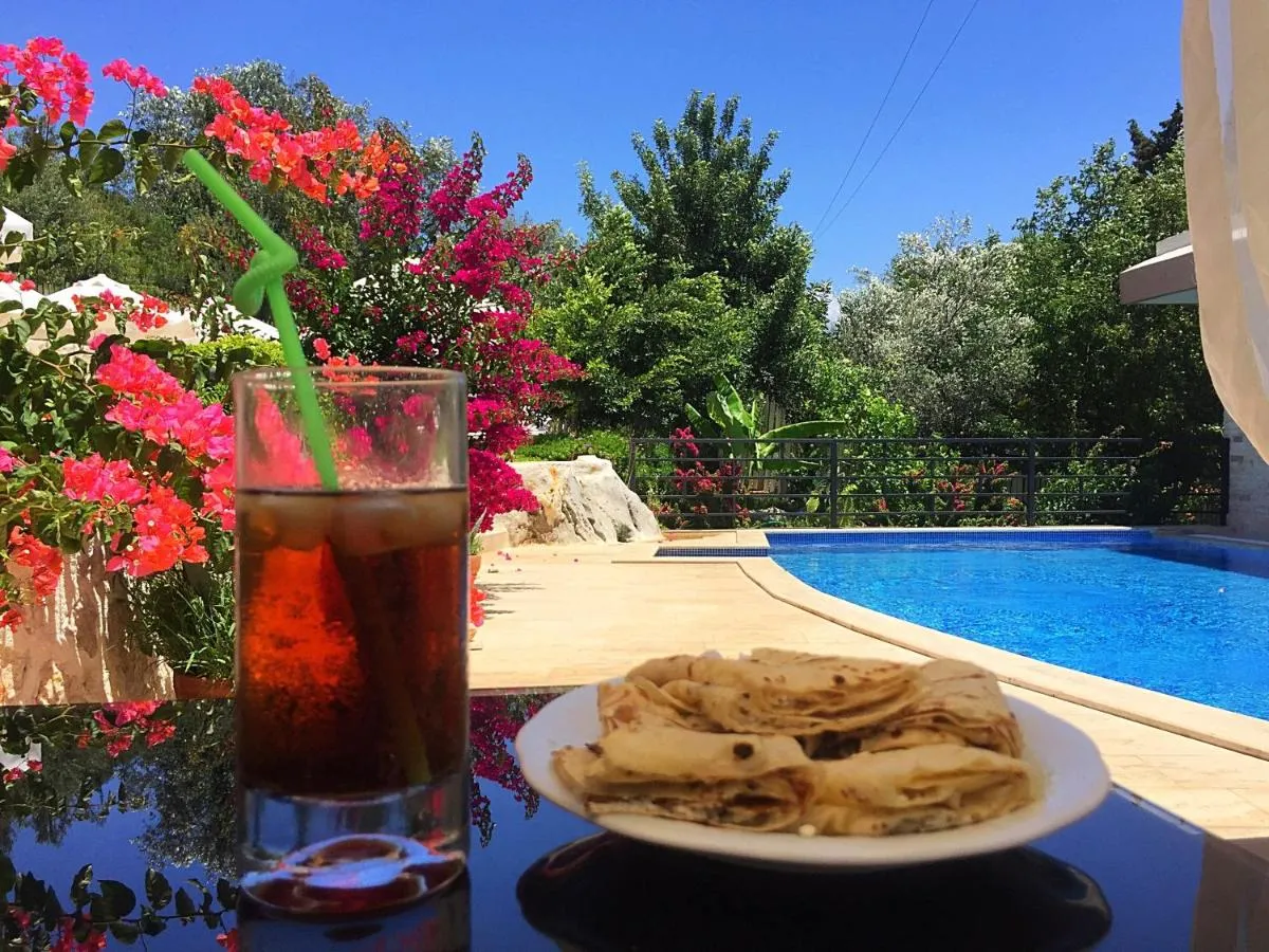 Dardanos Hotel — صورة 2
