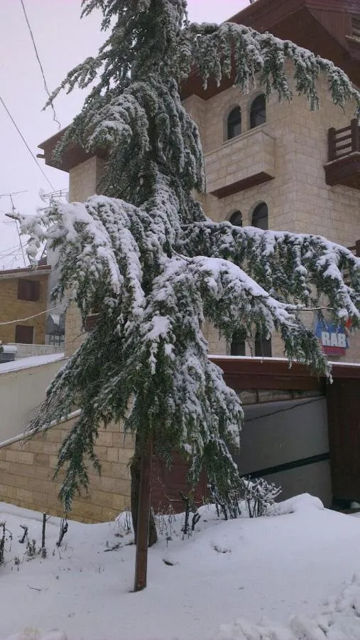 ميراب هوتيل — صورة 4