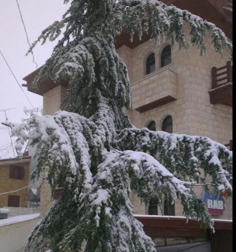 ⁨ميراب هوتيل⁩ — صورة 9
