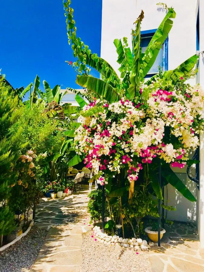 ⁨Artunc Hotel Bodrum⁩ — صورة 13