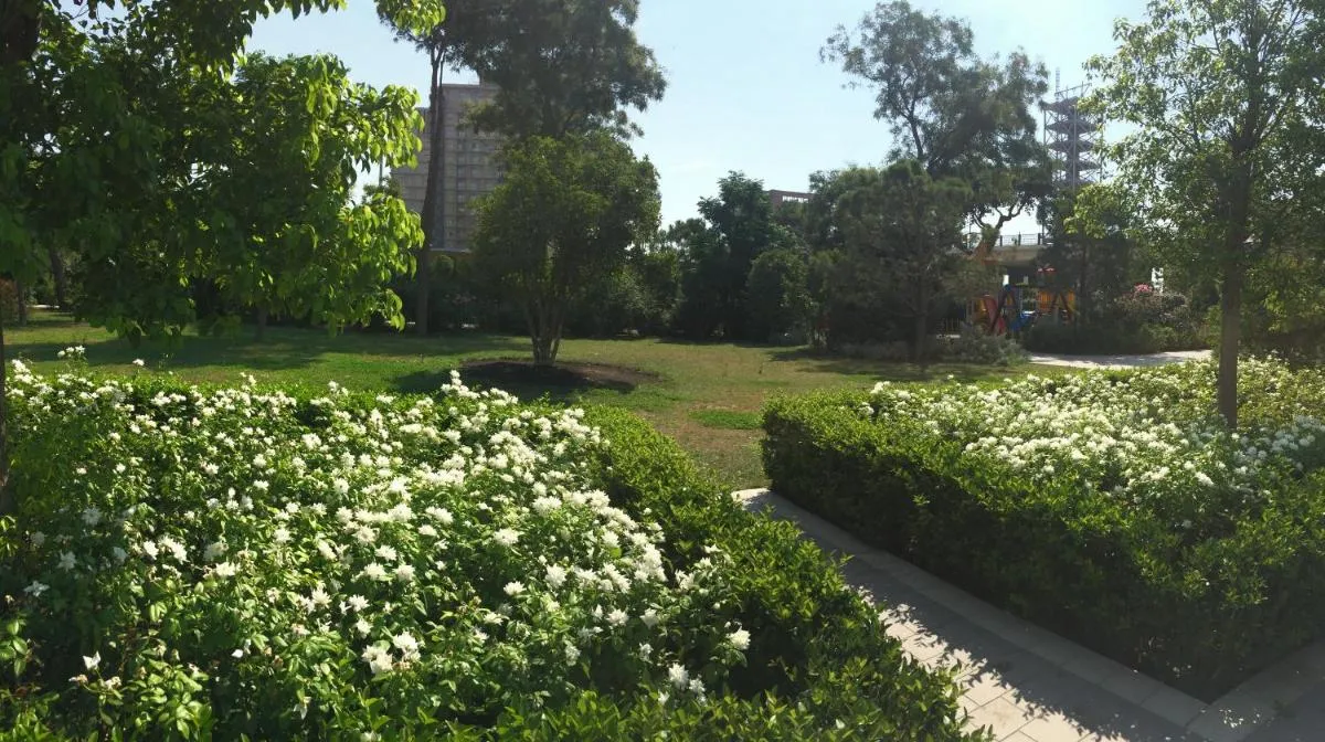 ⁨نيزامي 118 - بورتباكو⁩ — صورة 28