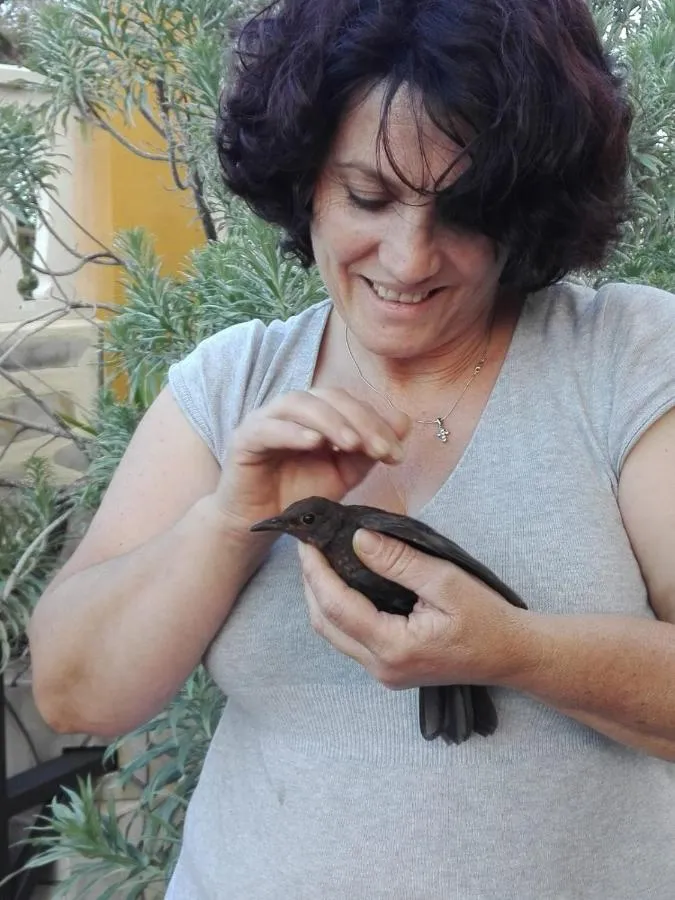 ويندهام غراند أجرا — صورة 3