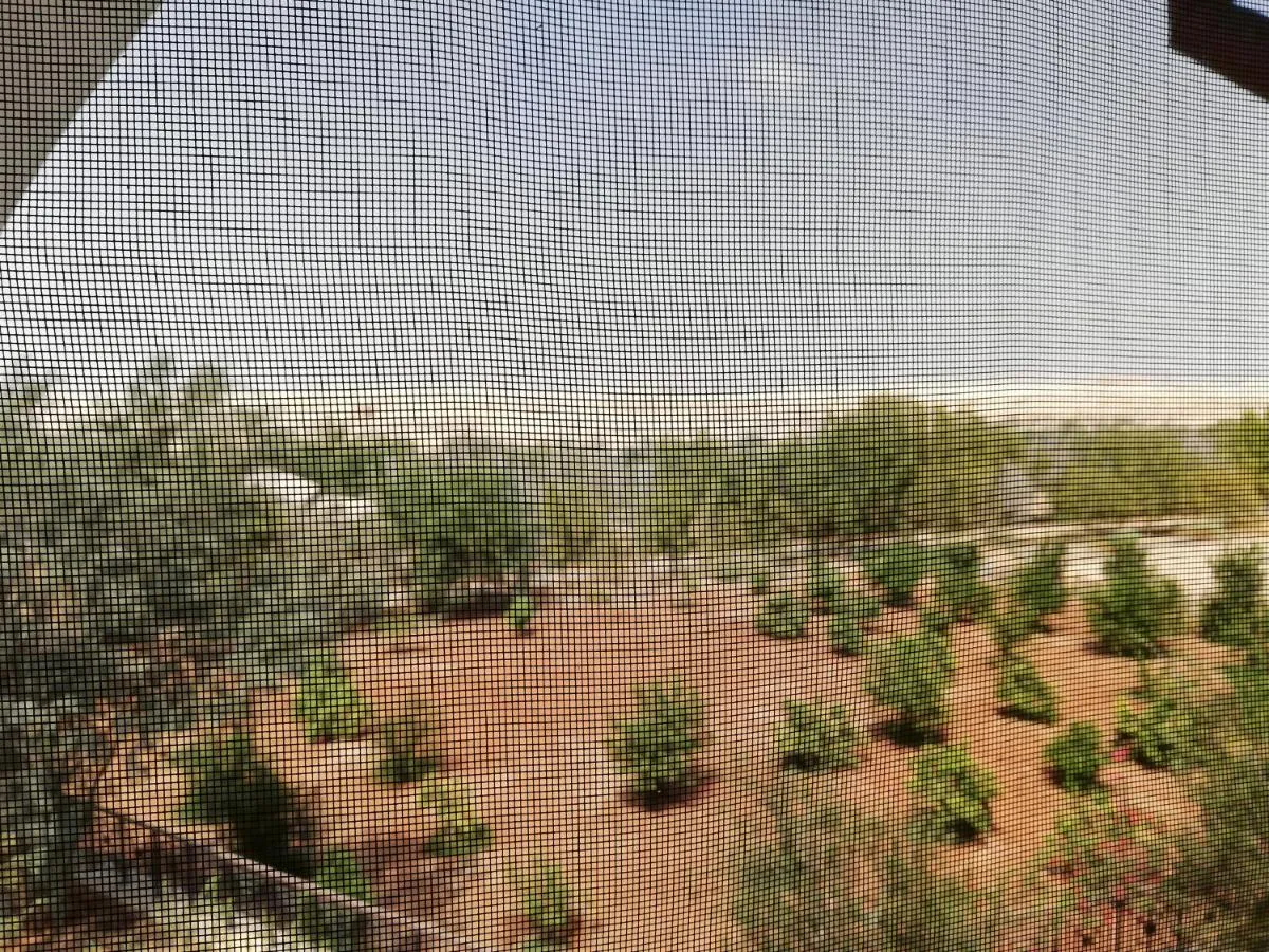 روسسيان بيلغريم ريسيدينسي — صورة 4
