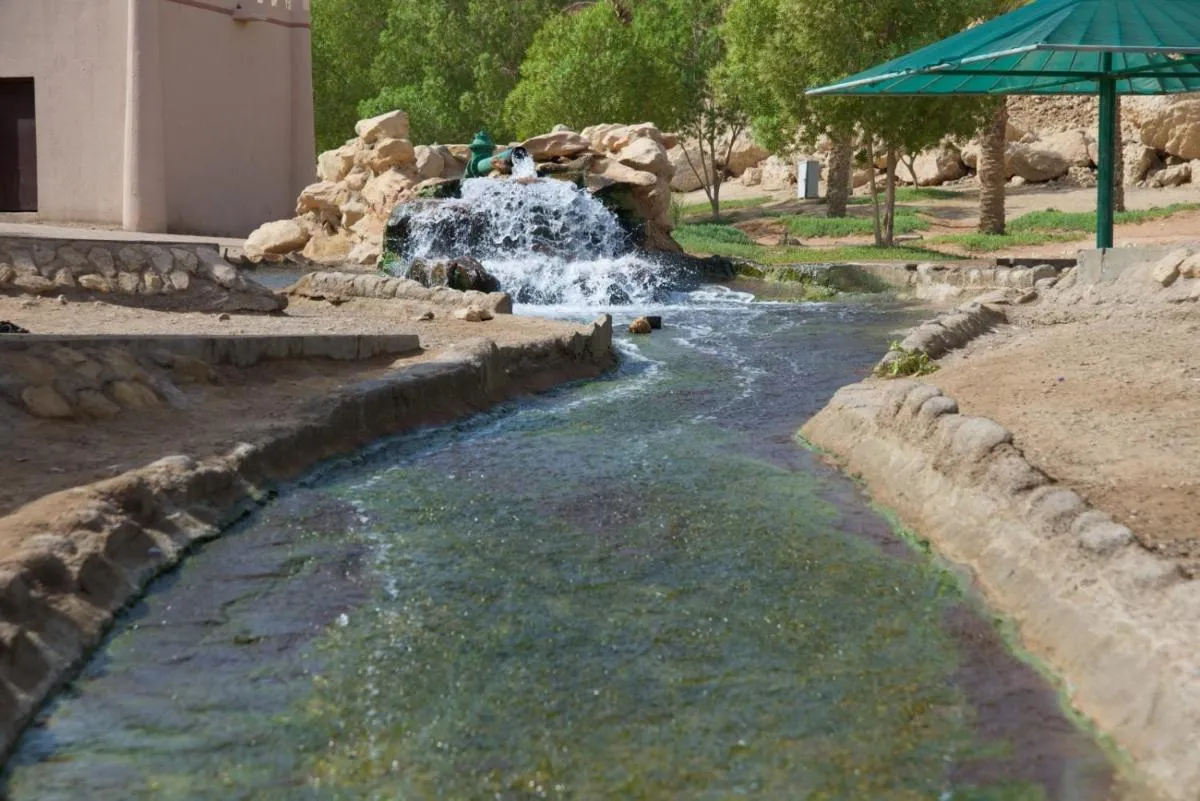 ⁨غرين موباززاراه سهاليتس⁩ — صورة 21