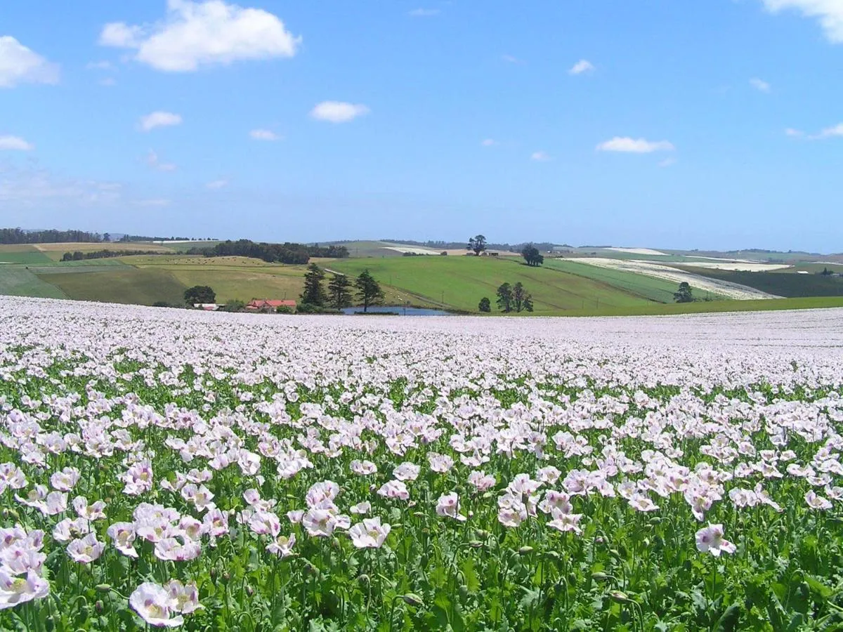 كريستال ووترورلد ريزورت وسبا سيدي - سيدة، تركيا