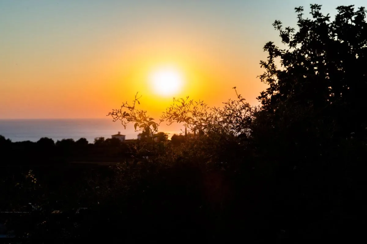 ⁨ادونيس فيلا⁩ — صورة 30