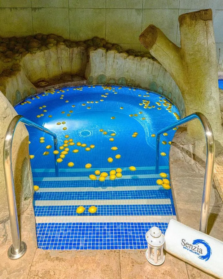 سيناتور غرانادا — صورة 2