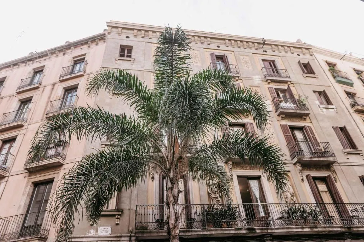 بينسيóن 45 — صورة 2