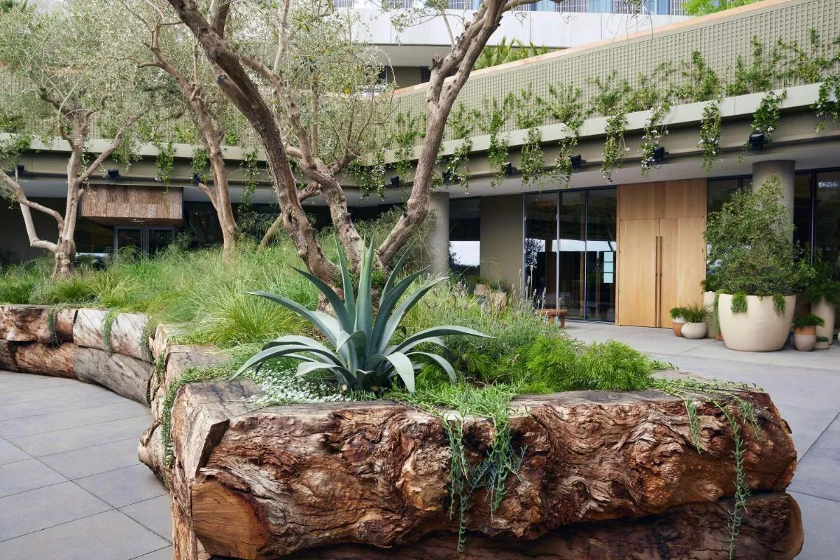 1 ويست هوليوود — صورة 3