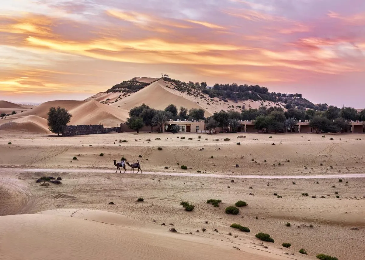 ⁨تيلال منتجع ال اين⁩ — صورة 5