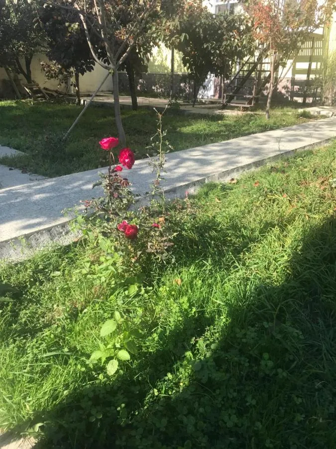 ⁨شقق فيروزي⁩ — صورة 24