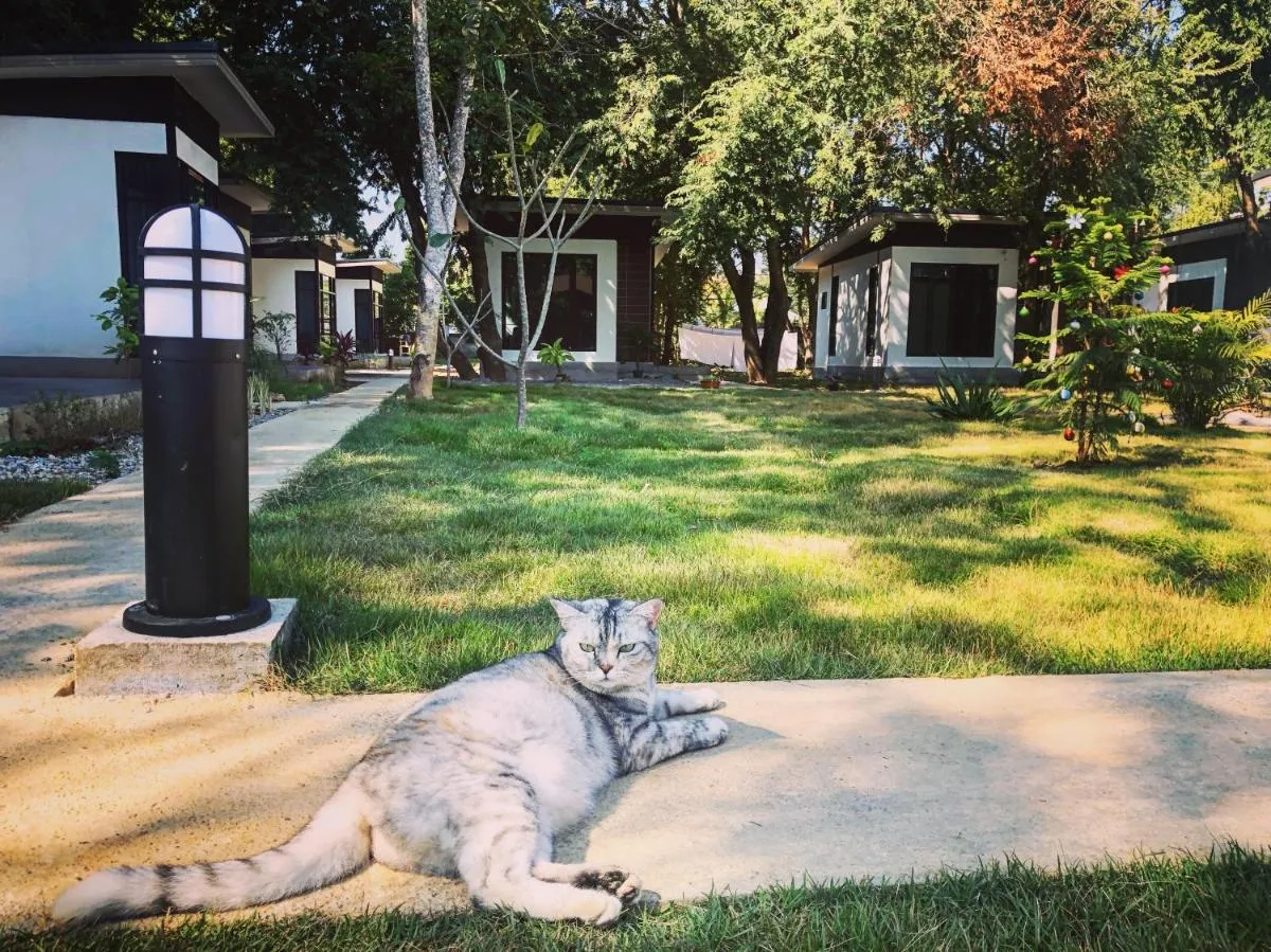 سيريني منتجع - Pai، تايلاند