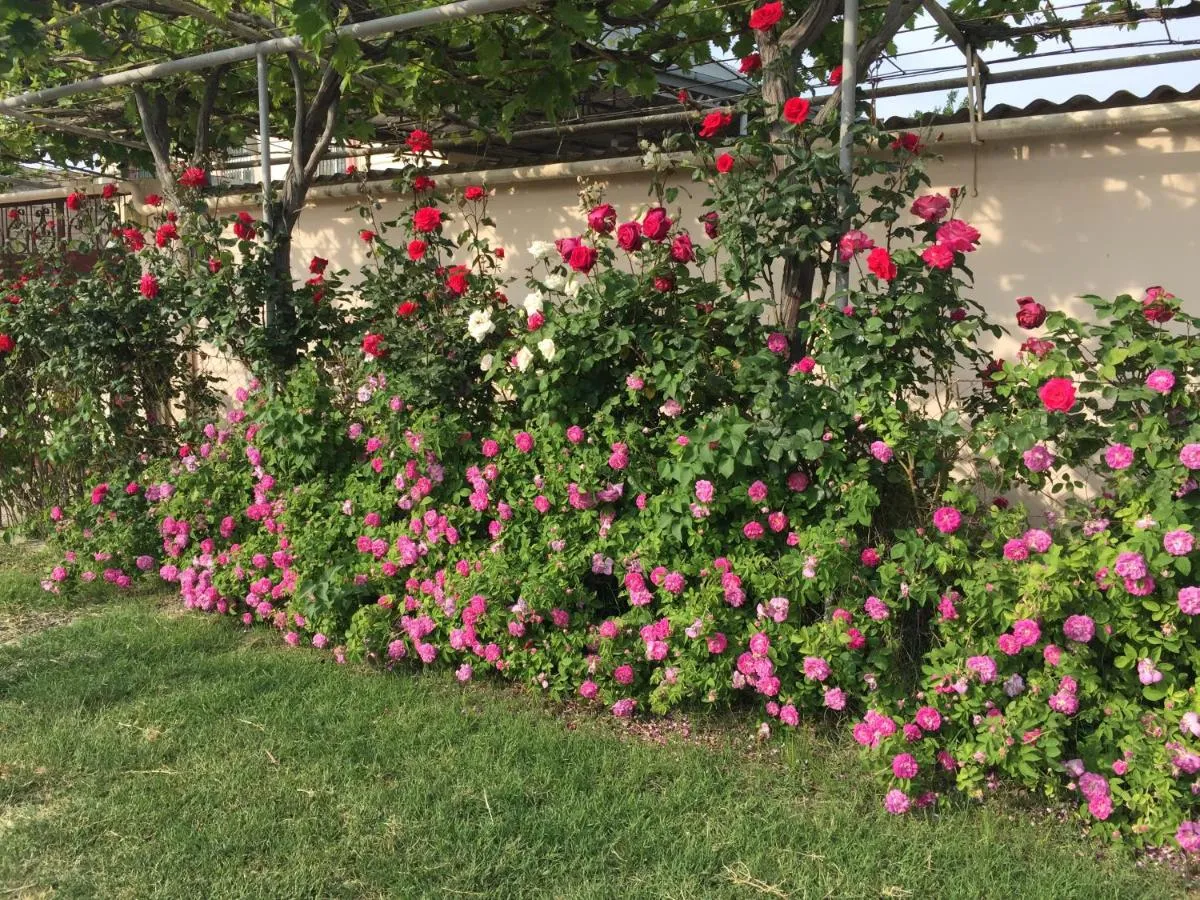 ⁨هاسانوفس فيلا⁩ — صورة 44