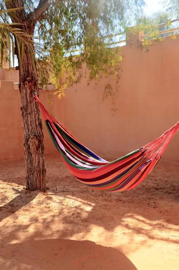 ⁨تيلال منتجع ال اين⁩ — صورة 21