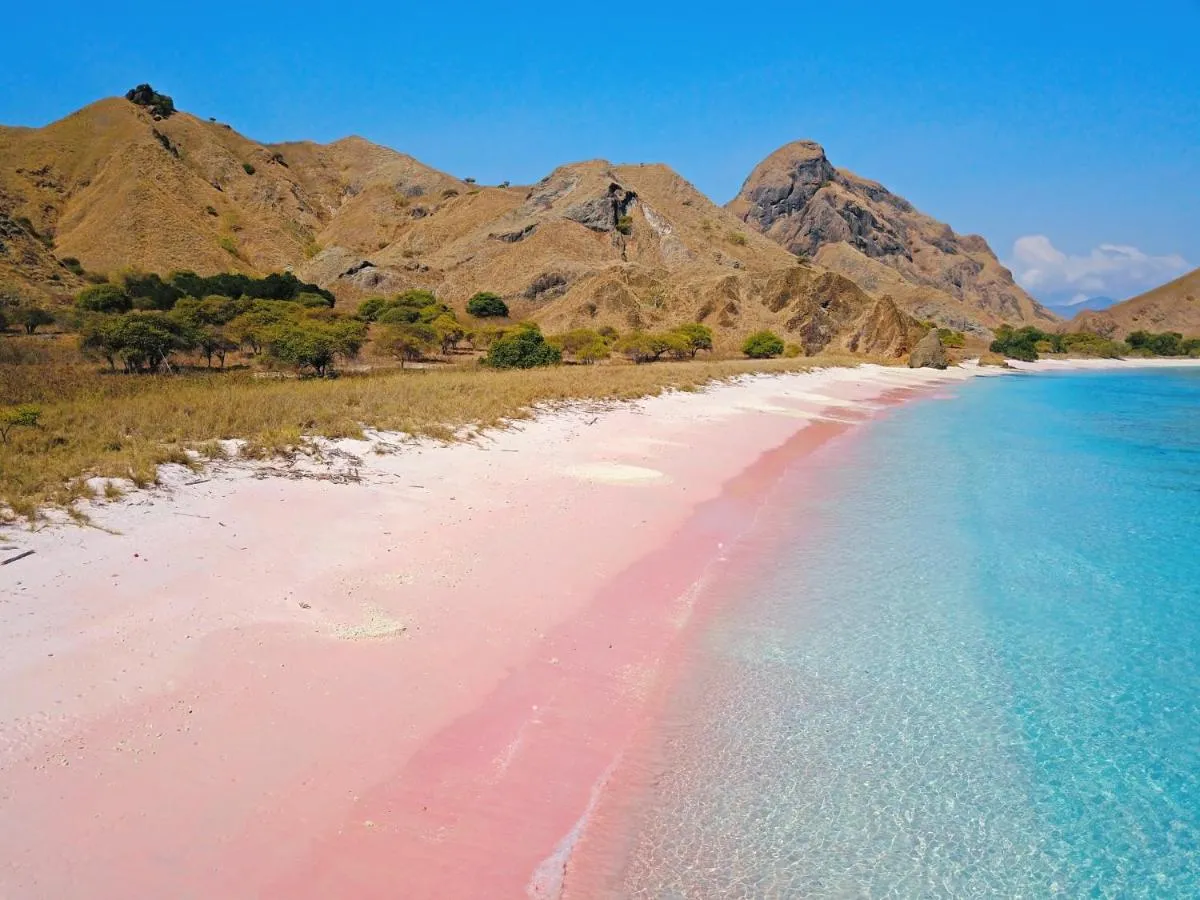 ⁨ميروراه كومودو لابوان باجو⁩ — صورة 16