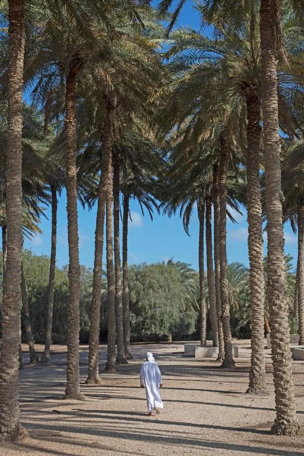 ⁨أنانتارا ديسيرت يسلاندس منتجع & سبا⁩ — صورة 24