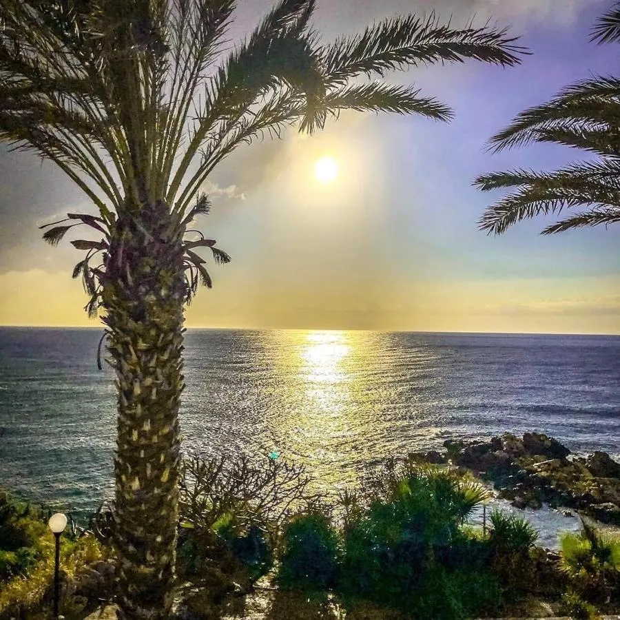 ⁨فراسهيا بيتش هوتيل & سويتس - ادولتس ونلي⁩ — صورة 21