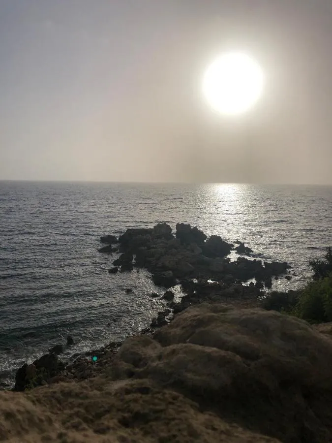 ⁨فراسهيا بيتش هوتيل & سويتس - ادولتس ونلي⁩ — صورة 26