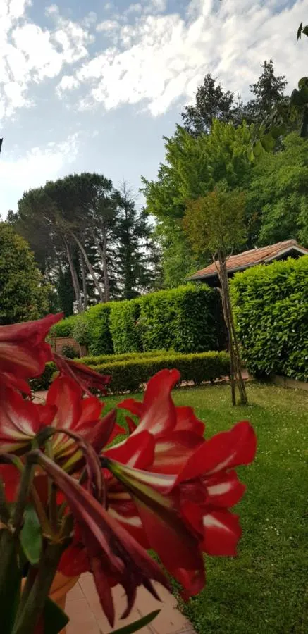⁨لا ساسا دي غيغليولا⁩ — صورة 11
