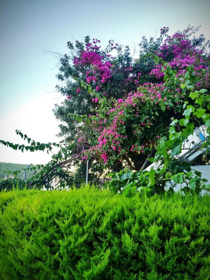 ⁨Yalcin Hotel⁩ — صورة 20