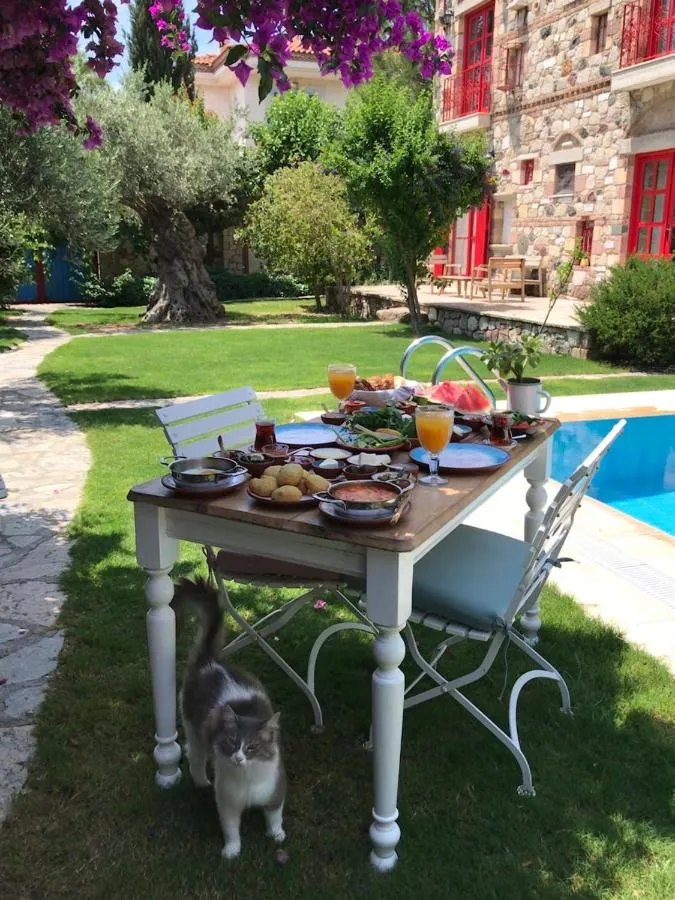 Alacati Zeytin Konak Hotel — صورة 4