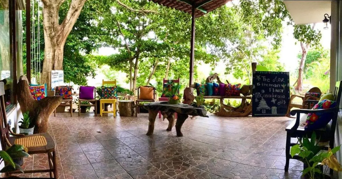 ⁨فندق ذا فايفز بيتش بلايا ديل كارمن⁩ — صورة 13