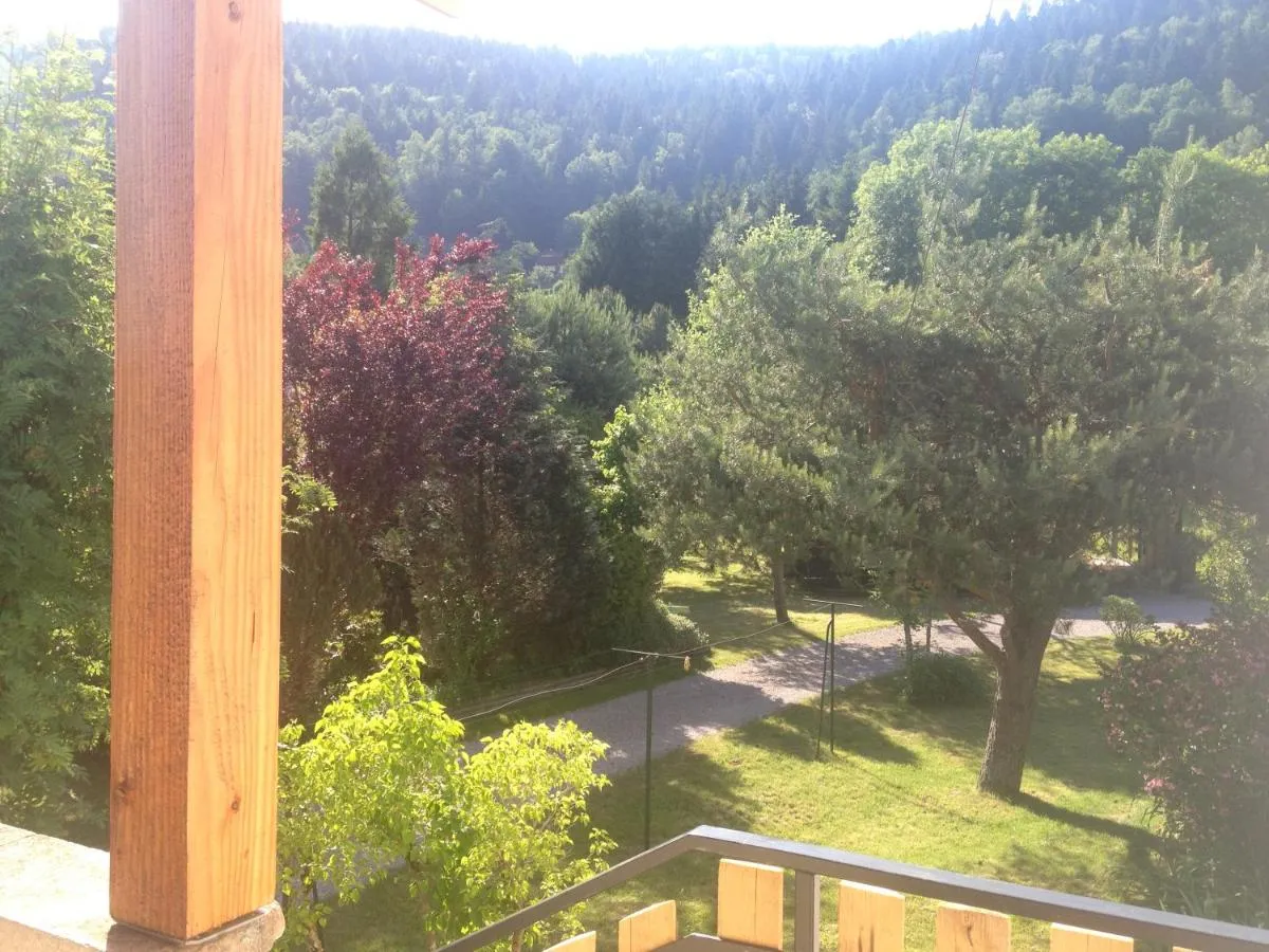 ⁨غتيس ليس غرانديس فوييس - سل فاسانسيس⁩ — صورة 29