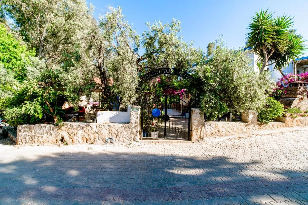 Eucalyptus Pension — صورة 2