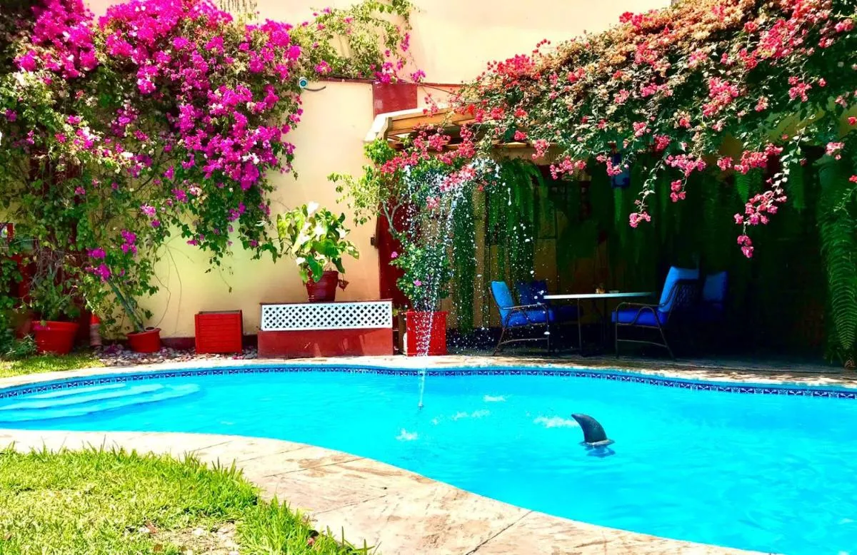 برو ستار ابارت — صورة 4