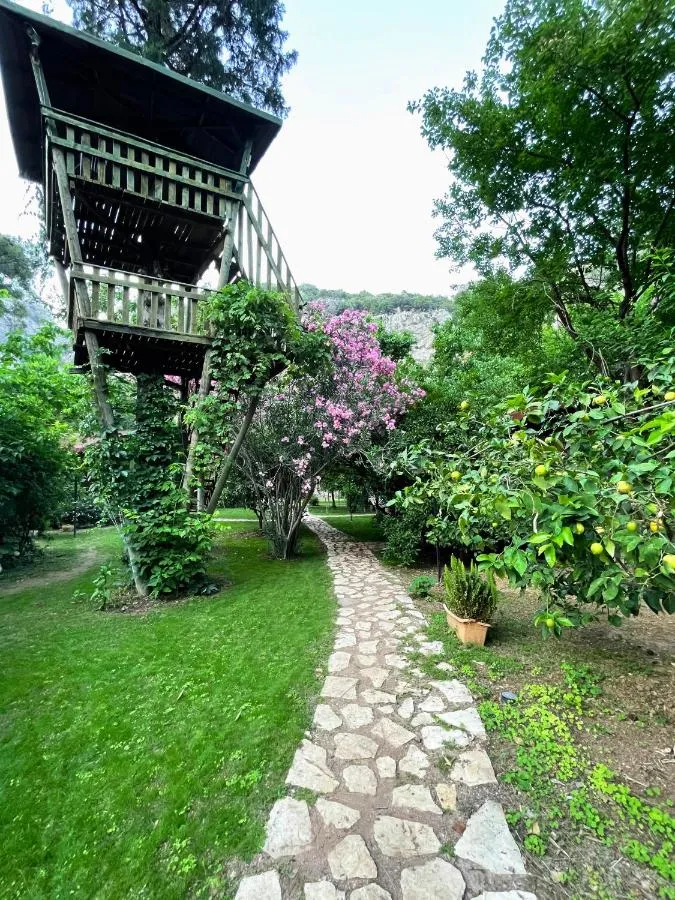 Kibala Hotel — صورة 2