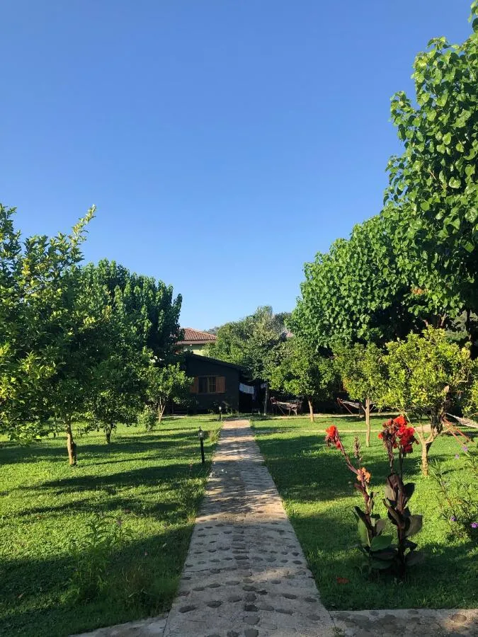 Ozge Bungalow Hotel — صورة 2