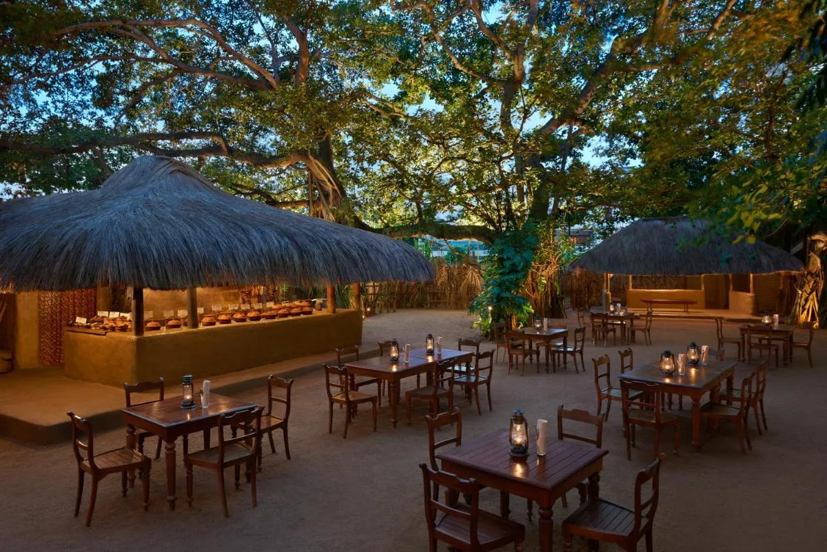 سينامون غراند كولومبو — صورة 3