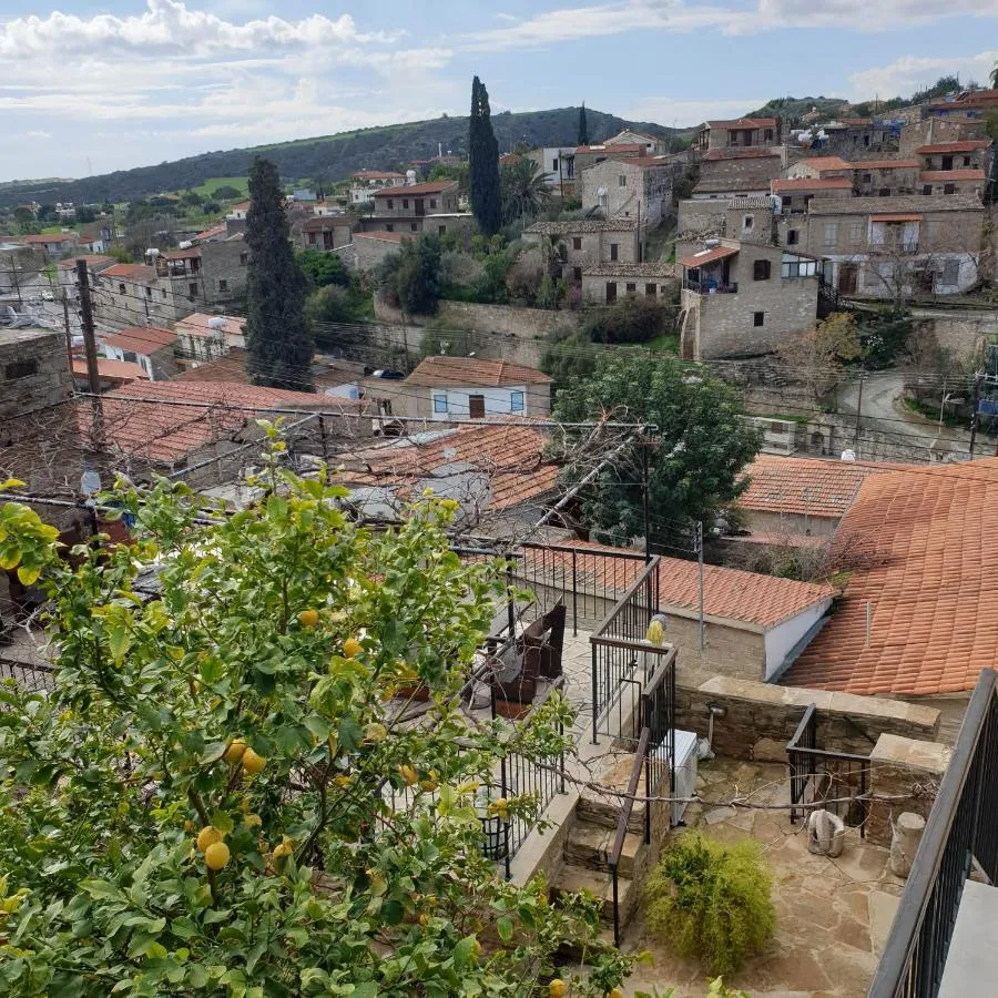 ⁨فاسيلوبوولوس هووسي⁩ — صورة 48
