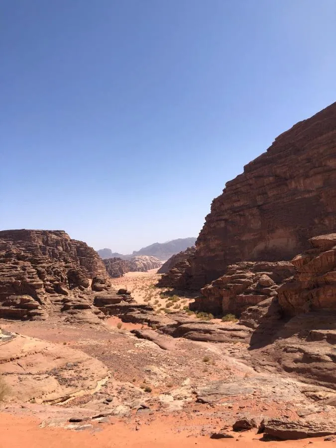 ⁨ساليم سامب⁩ — صورة 5