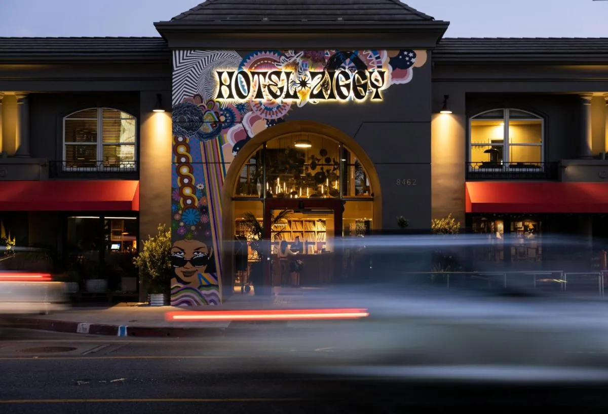 زيغغي ون سونست - لوس أنجلوس، الولايات المتحدة