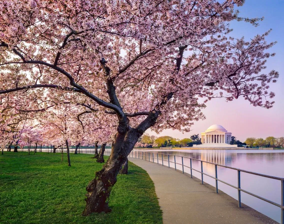 ⁨فندق كيمبتون موناكو واشنطن⁩ — صورة 25