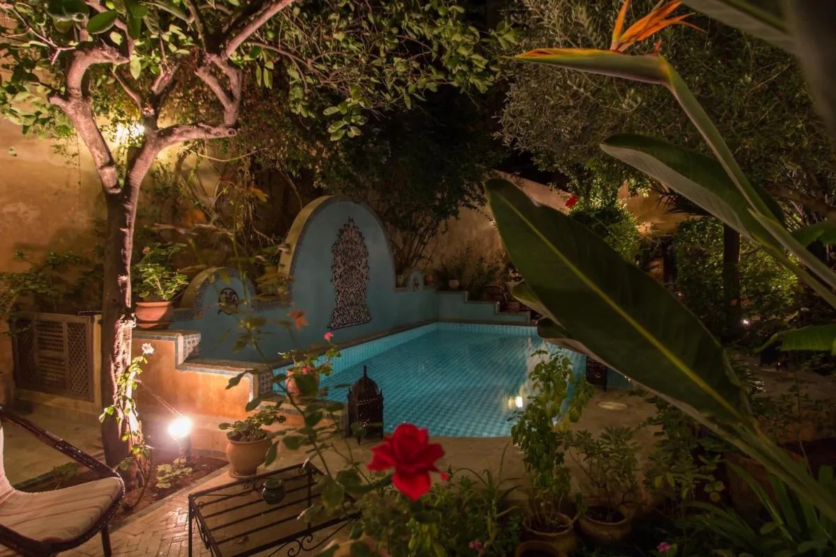 رياد نورما — صورة 3