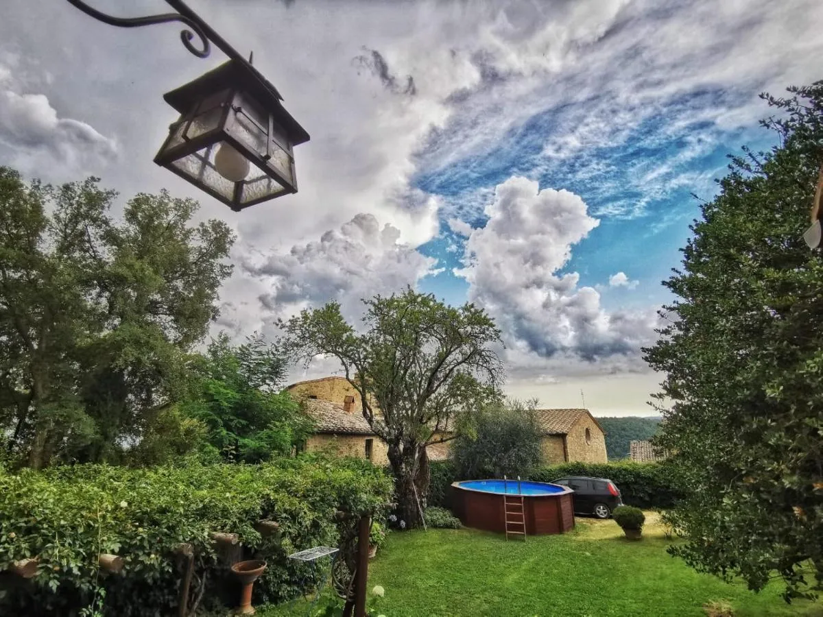 ساسا ديمو — صورة 4