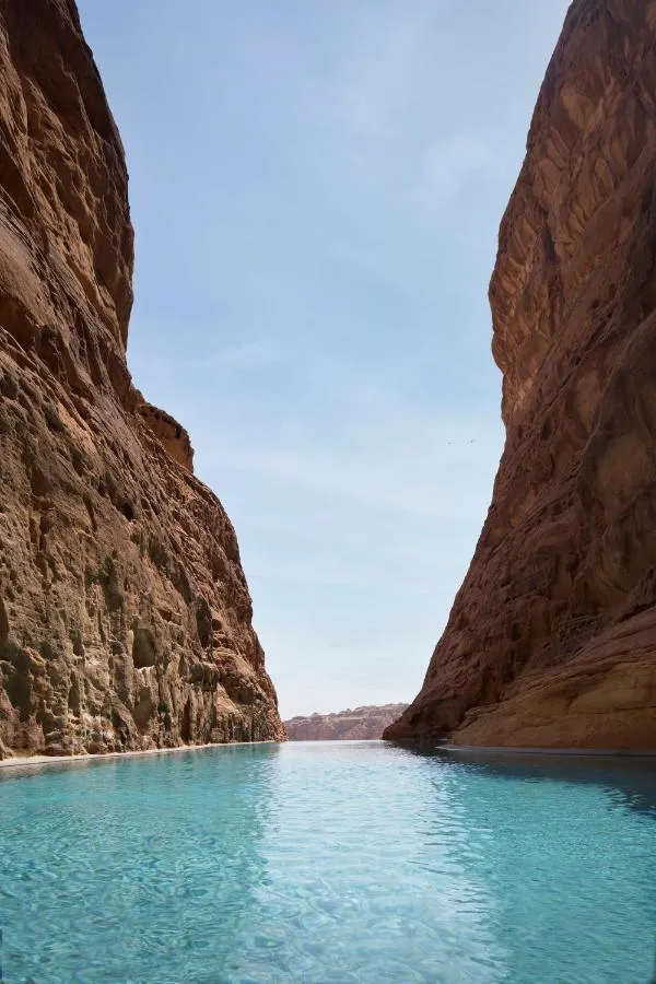 بانيان تري العلا — صورة 4
