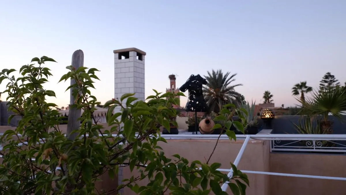 ⁨رياد نافيس⁩ — صورة 43