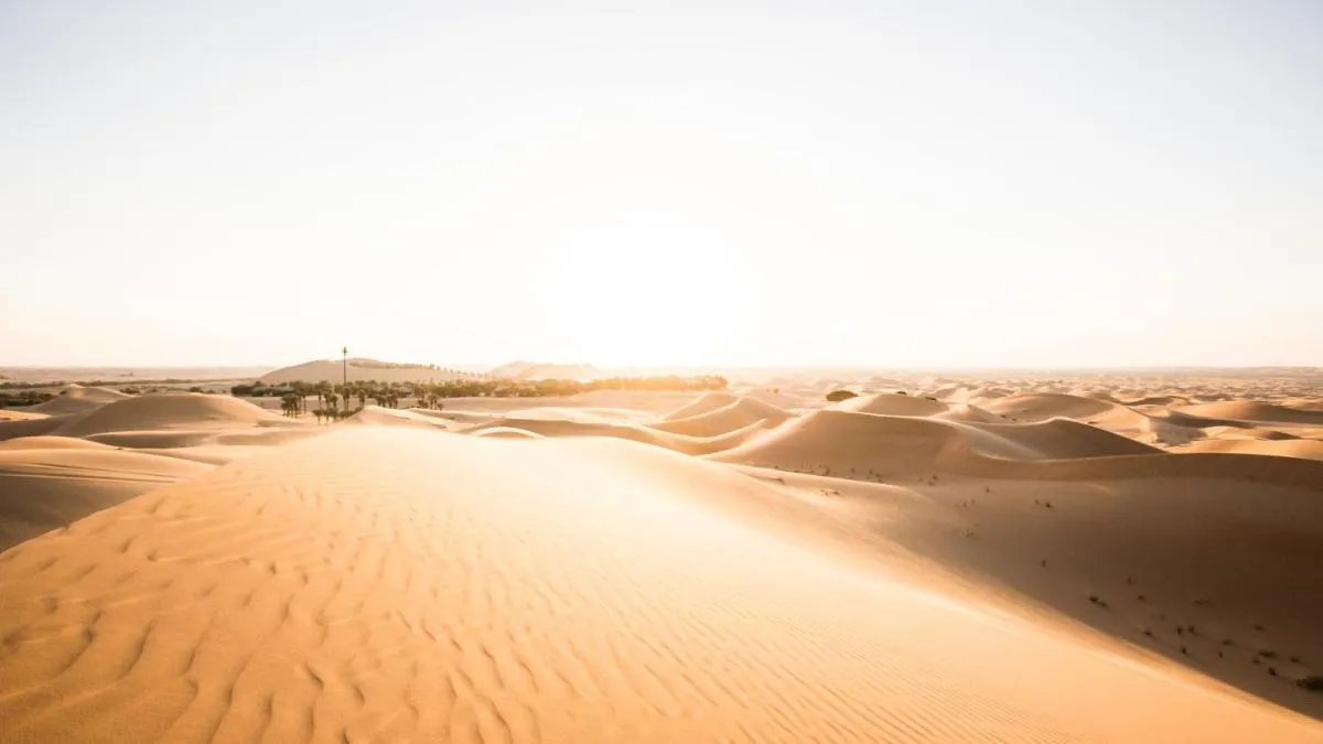 ⁨تيلال منتجع ال اين⁩ — صورة 44