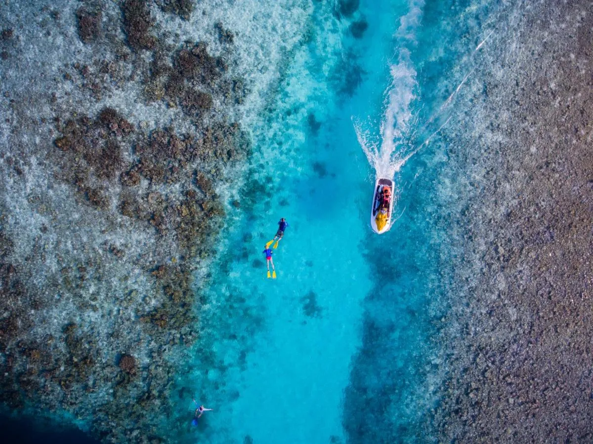 ⁨ليلي بيتش منتجع اند سبا - الل ينسلوسيفي⁩ — صورة 7