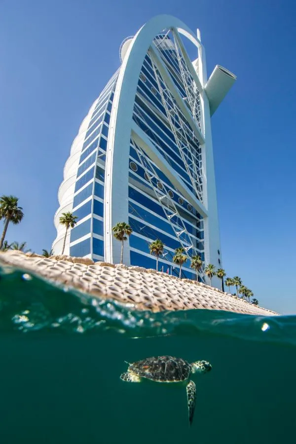⁨برج العرب جميرا⁩ — صورة 11