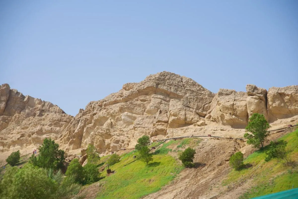 ⁨غرين موباززاراه سهاليتس⁩ — صورة 23