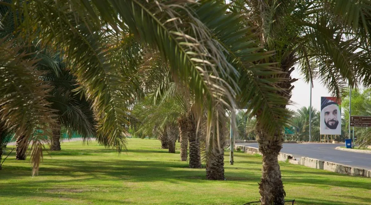 ⁨غرين موباززاراه سهاليتس⁩ — صورة 30