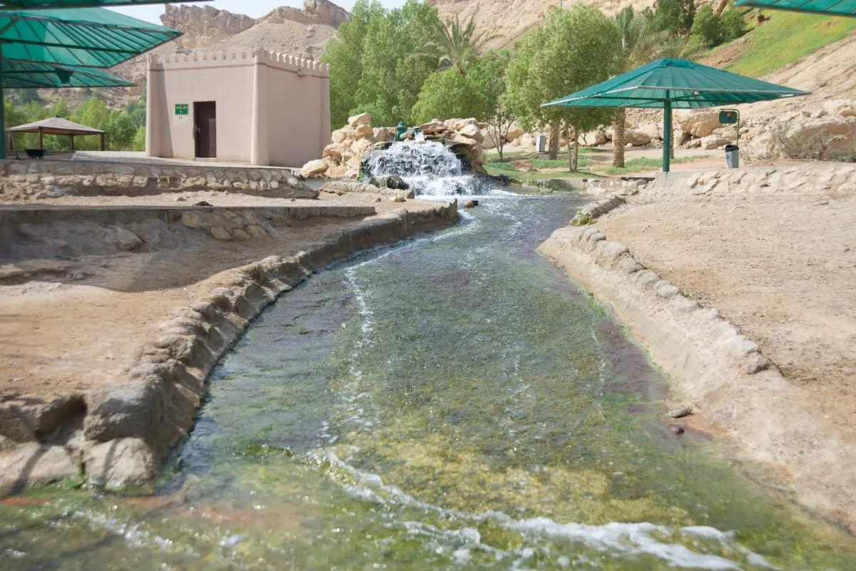 غرين موباززاراه سهاليتس — صورة 4