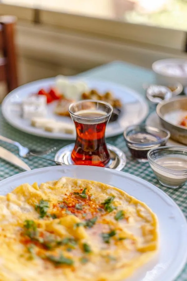 ⁨فندق بيوت الأناضول غازي عنتاب⁩ — صورة 28