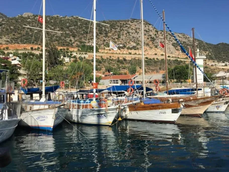 ⁨Cactus Garden Kalkan - Club Patara Villas⁩ — صورة 45