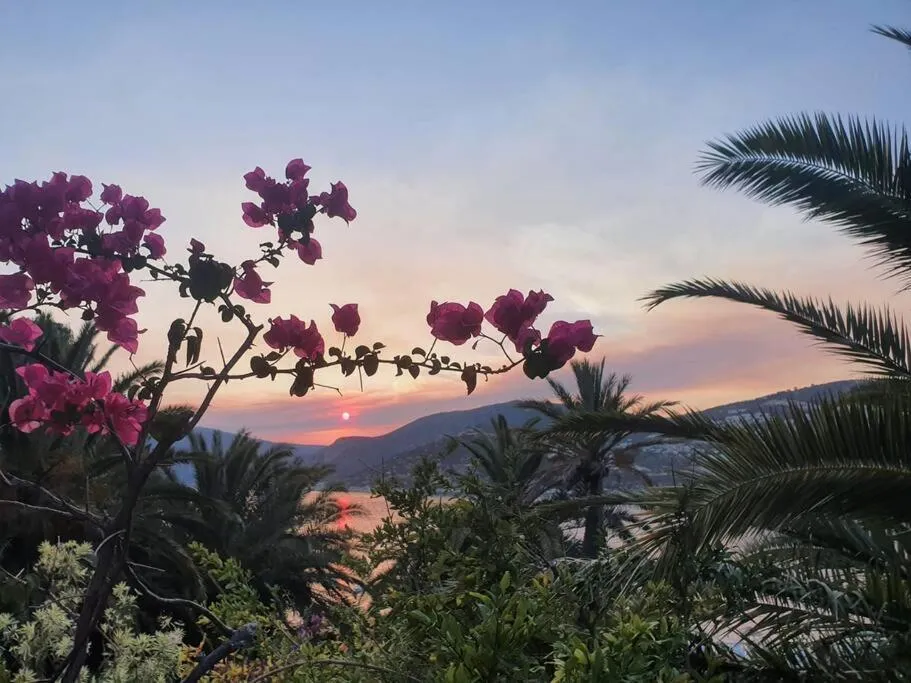 ⁨Cactus Garden Kalkan - Club Patara Villas⁩ — صورة 16